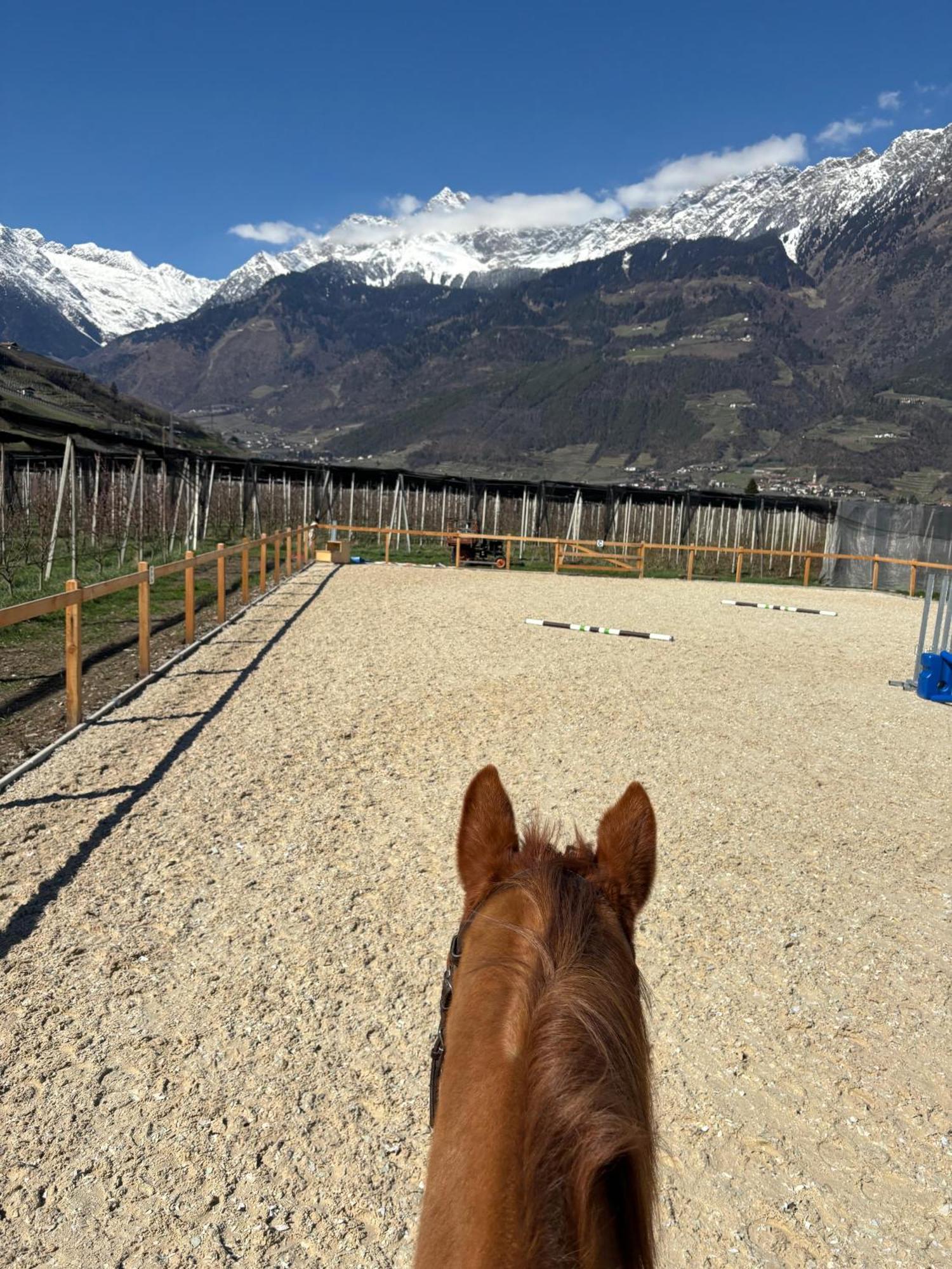 Schoene Wohnung Am Stadtrand Von Meran Valentinhof Buitenkant foto